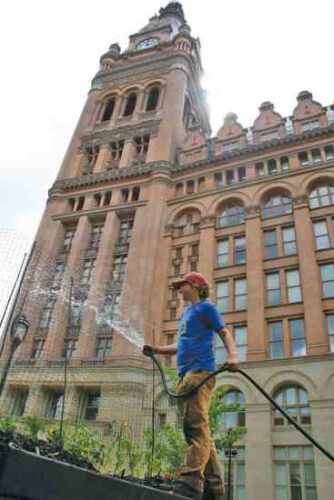 Urban Gardening 101: Sustainable Agriculture Programs and Community Gardening